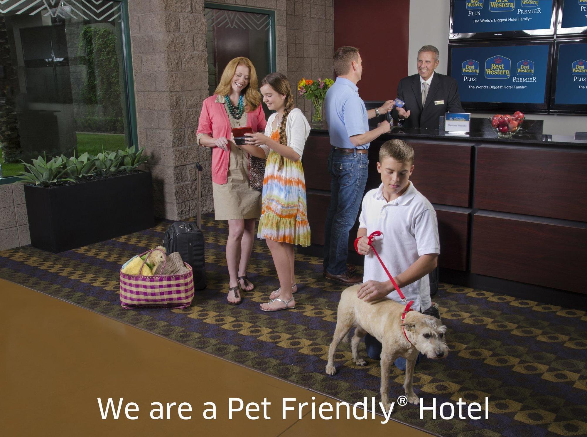 Quality Inn & Suites Phoenix Nw - Sun City Youngtown Eksteriør bilde